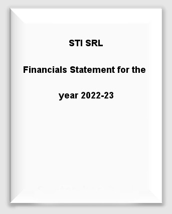 SSTI-SRL-Balance-Sheet-2022
