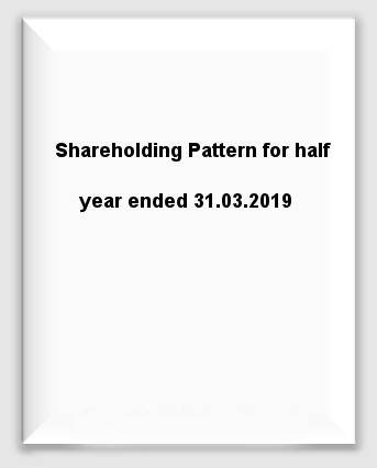 Shareholding Pattern for half year ended 31.03.2019