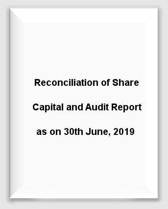 Marine Reconciliation Share Capital Audit Report 30th June 19